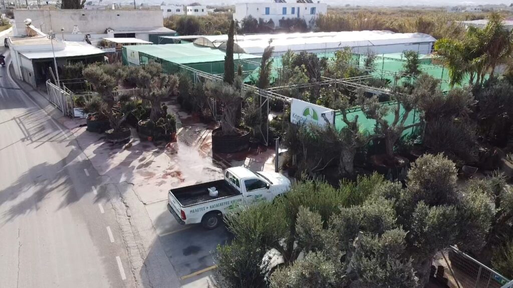 dji fly 20221208 095054 0 1670485854059 photo low quality
